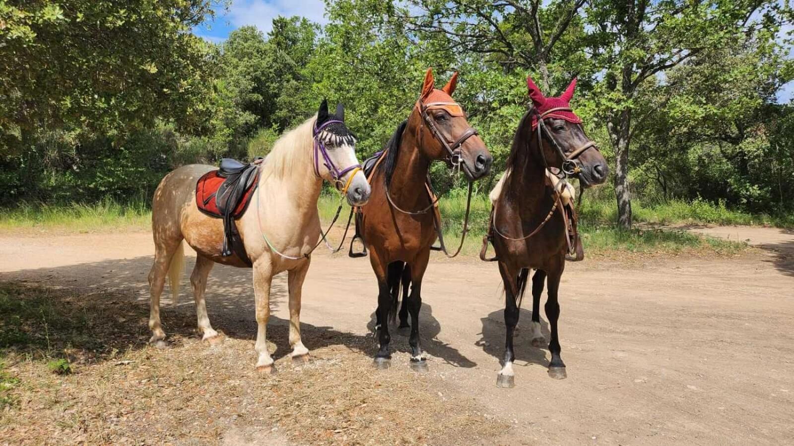 La Cabane Aux Chevaux Varages Esterno foto