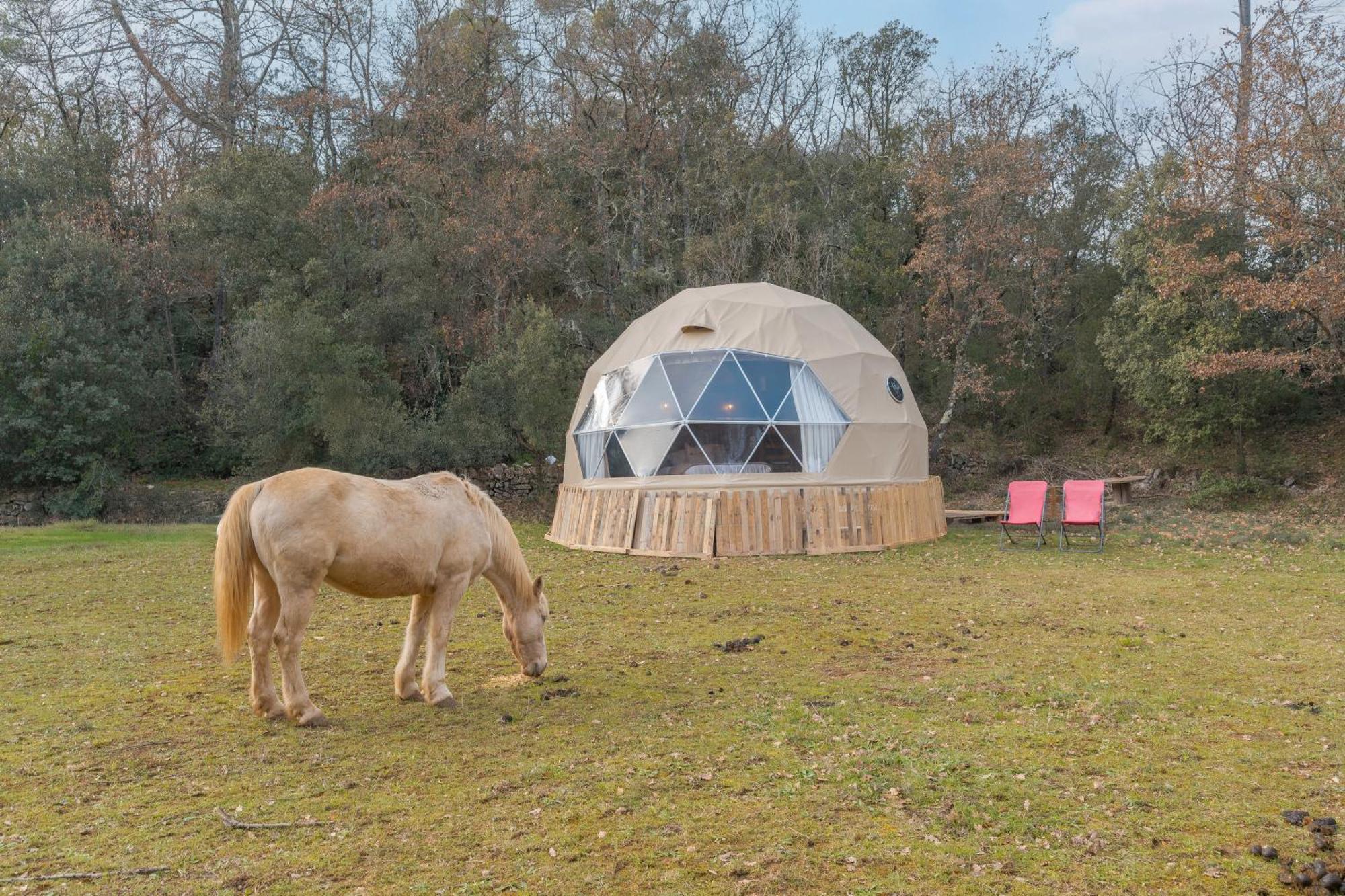 La Cabane Aux Chevaux Varages Esterno foto