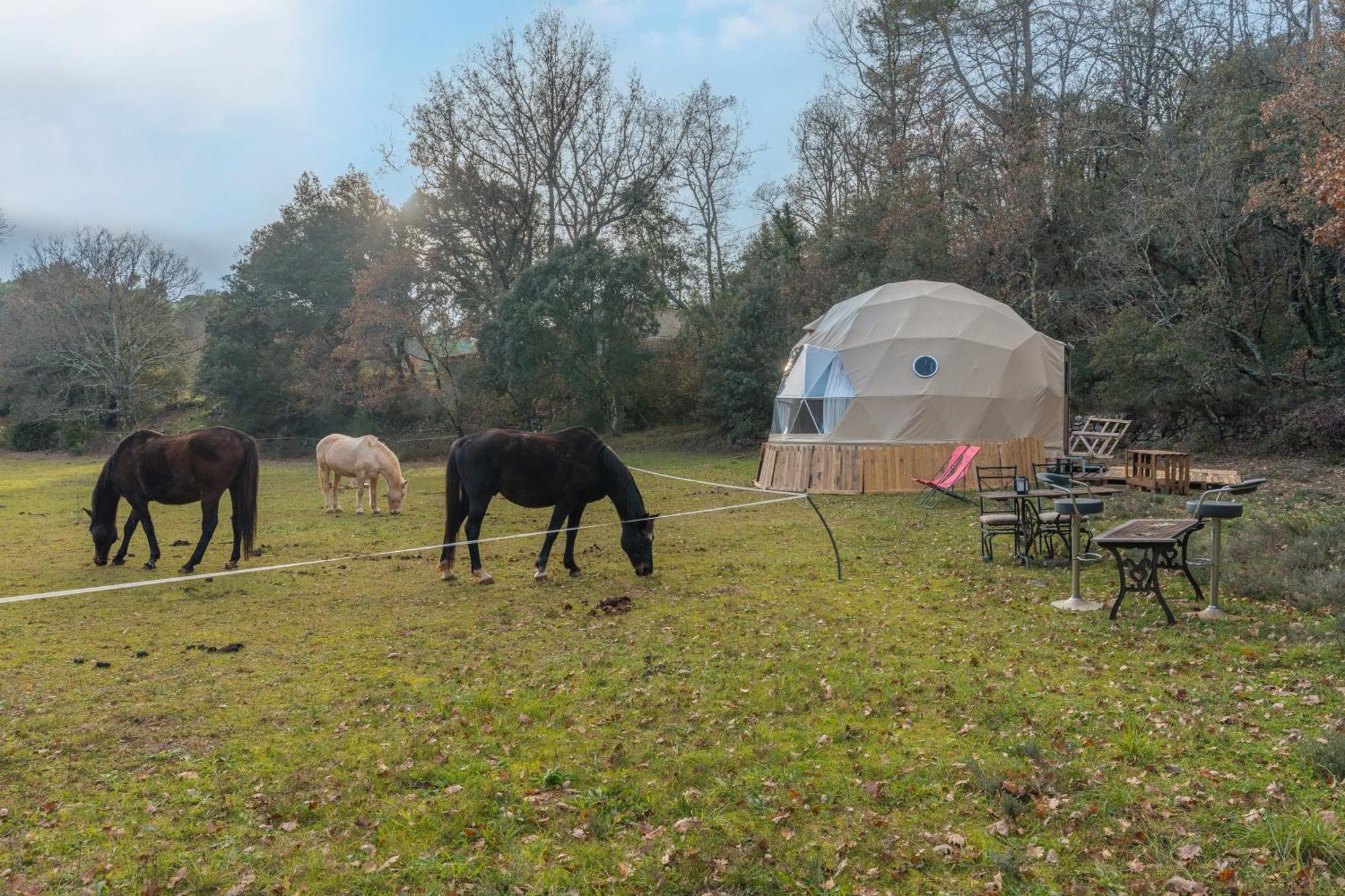 La Cabane Aux Chevaux Varages Esterno foto